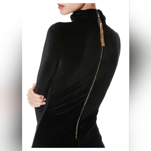 Alice + Olivia DELORA VELVET TASSEL BACK MIDI DRESS SIZE 4 - Picture 9 of 13